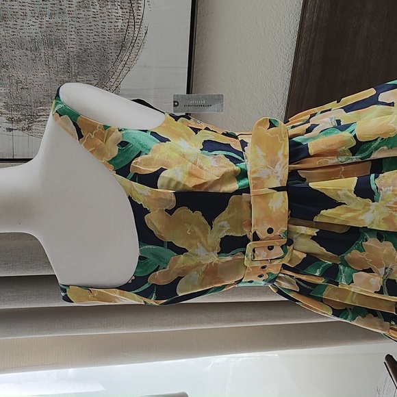 NEW Anthropologie Hutch Alice Fit & Flare Midi Dress Size 4P - Picture 9 of 16